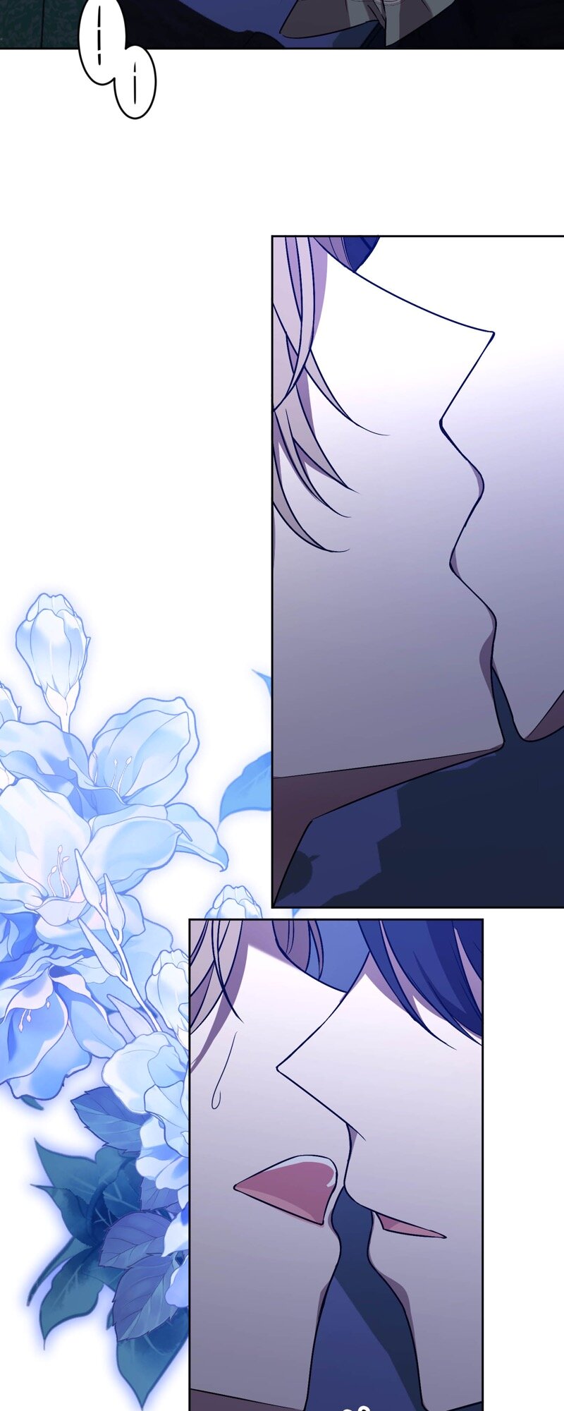 59133636 800 2000 146832